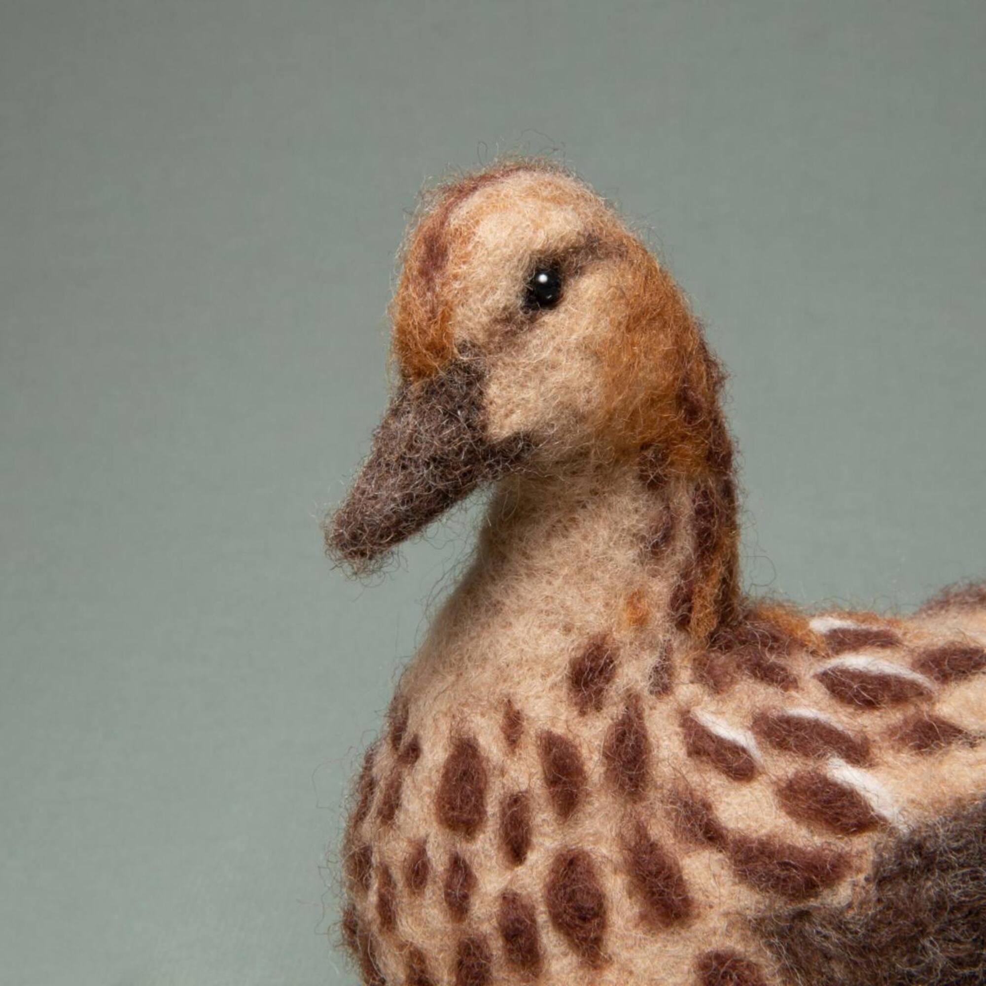 Charivna Mit Friendly Family Felting Kit